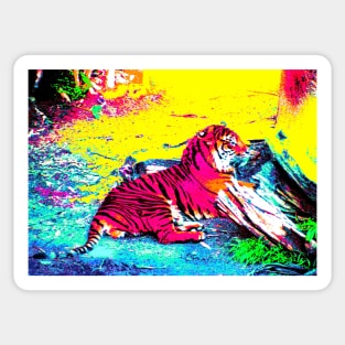 Tiger Bright Sticker